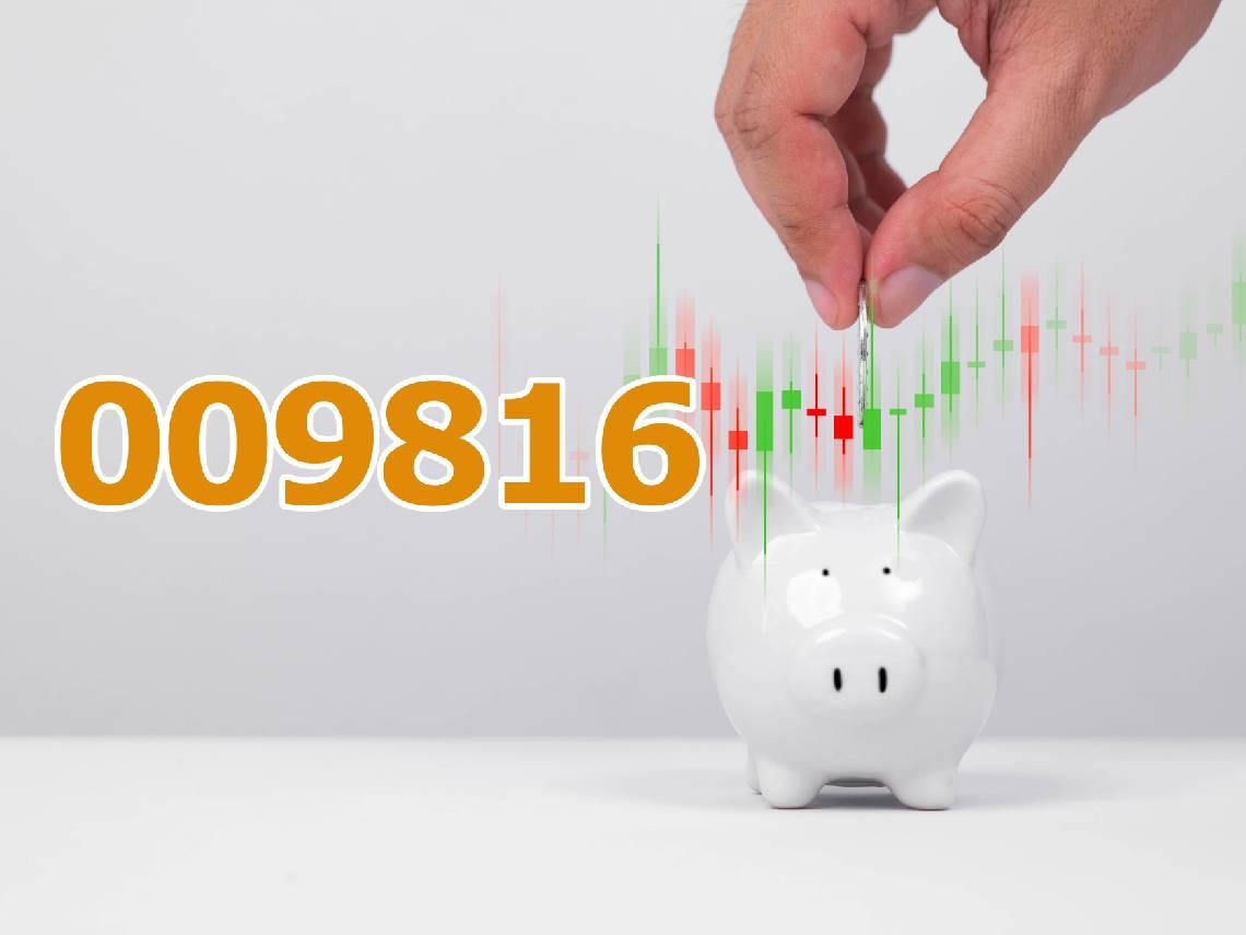 千張金融股大戶，ETF為何只買009816？半年績效61％打贏0050...本金10萬、30萬、100萬，能多賺多少錢？